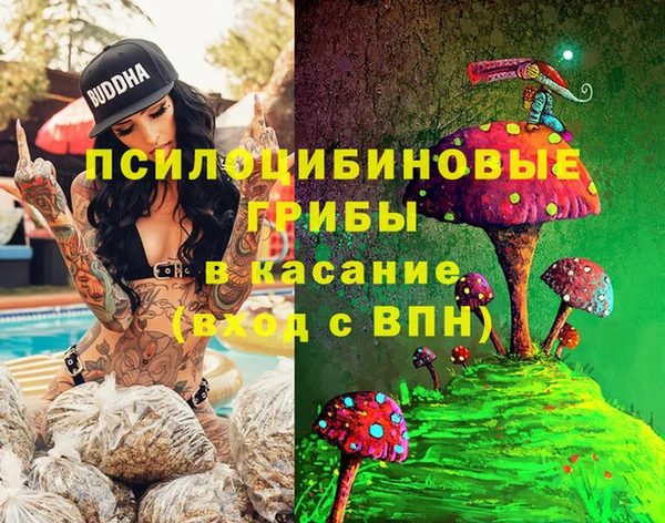 spice Алексин