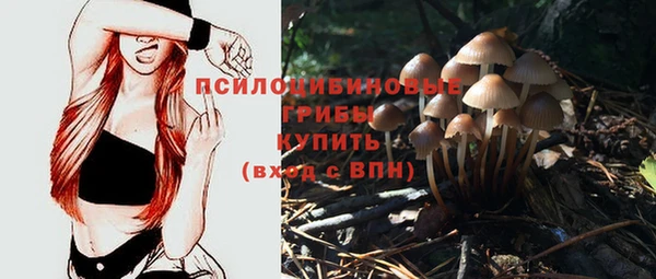 экстази Алзамай