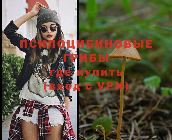 spice Алексин